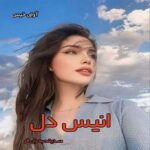 دانلود رمان انیس دل از صدیقه بهران فر pdf